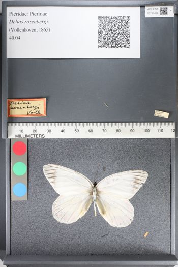 Media type: image;   Entomology 130404